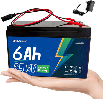 24V 6Ah Lifepo4 Battery Pack with 29.4V 1A Charger, Built-In 20A BMS, Rechargeab