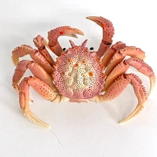 Nature Techni Colour Mini Figure Nature of Japan 03 Horsehair Crab Ikimon Japan