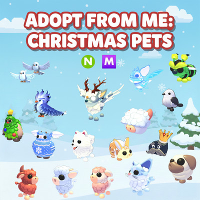 Winter 2025 - Christmas Spirit - Snowball Pug-Aberdeen Angus Box | ADOPT FROM ME