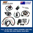 <!--F#f_0-->Electrics Wiring Harness Loom Coil CDI FOR Zongshen 125-250cc Quad Bike/Buggy<!--F/-->