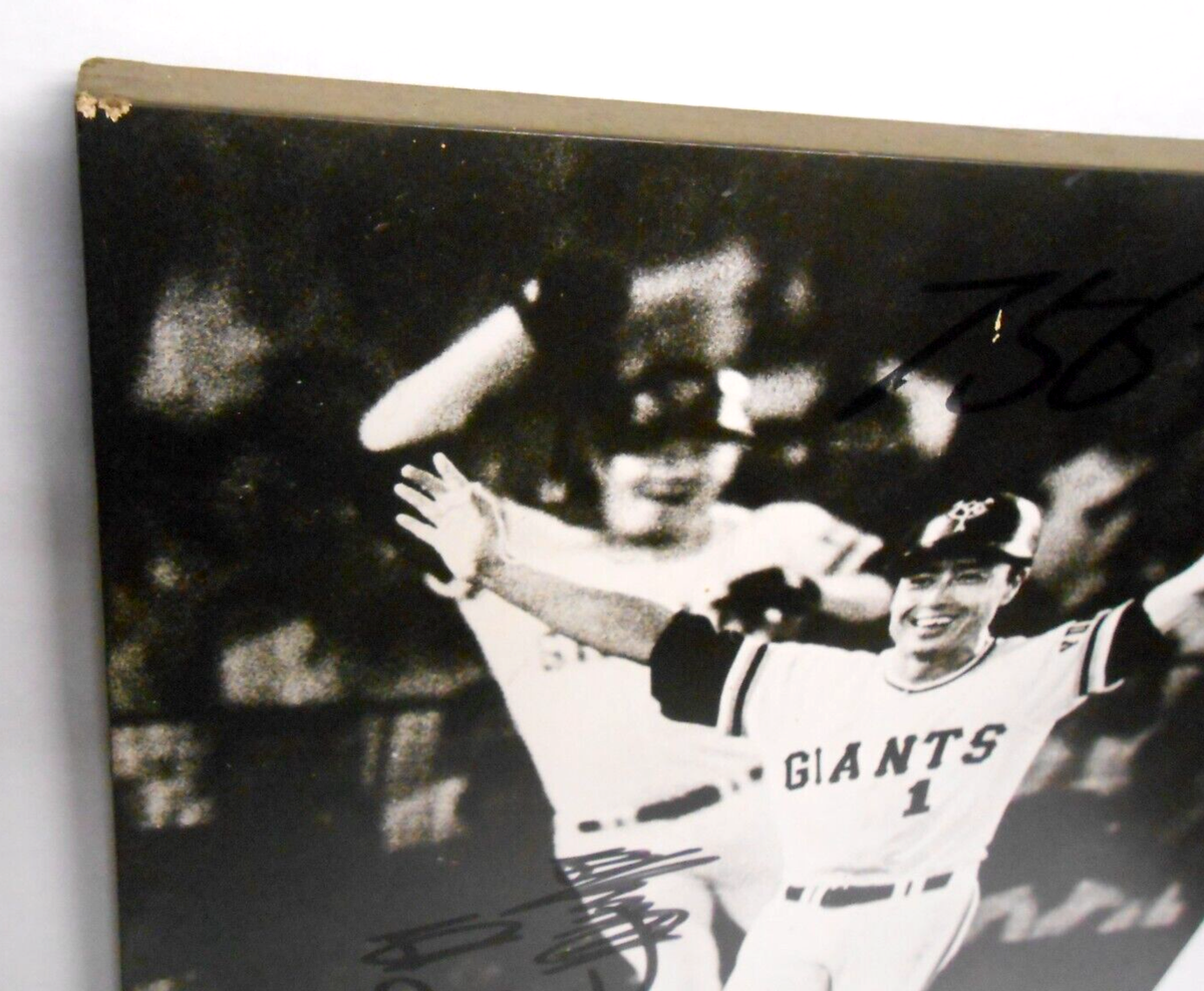LARGE 22 x 16.5 Sadaharu Oh 王貞治 Autographed Signed Mounted 756