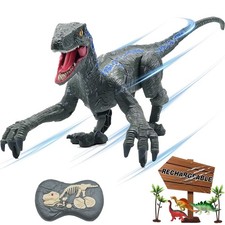 Remote Control Dinosaur Toys for Boys Kids Girls 3 4 5 6 7 8 Electronic RC Ro...