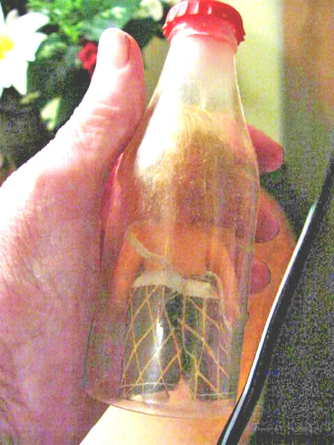 Bild 2 von 4