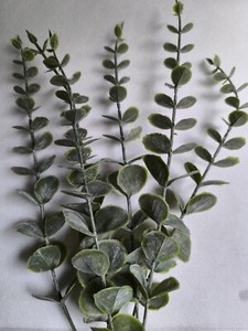 Eukalyptus Pflanze Knstlich | eBay.de