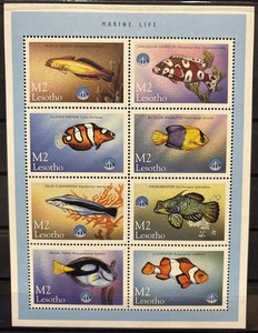 Lesotho, fish, firefish S.C.#1144 S.C.V.6.5  MNH  1 S/S of 8, Issued in 1998