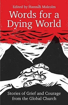 Words for a Dying World: Stories of Grief and Courage fr... Paperback / softback
