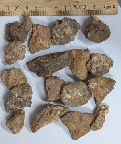VERY WEATHERED 200 Grams Unclassified NWA METEORITE Mixed Lot (#F8291)
