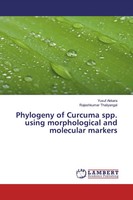 Yusuf Akkara (U. A.) | Phylogeny Of Curcuma Spp. Using Morphological And...