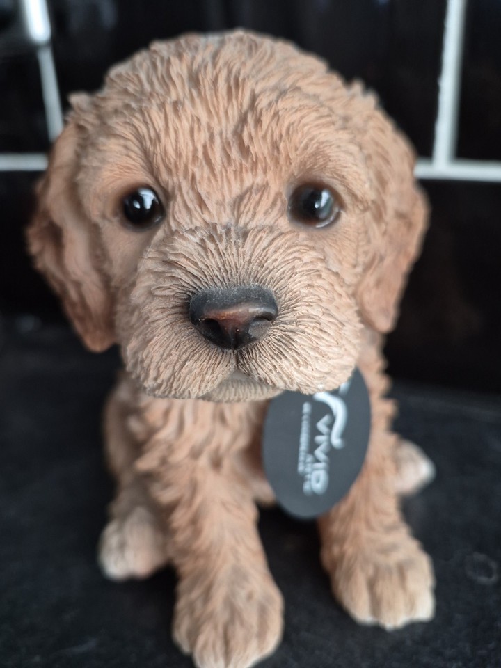 Vivid Arts Cockapoo Puppy | eBay UK