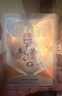 2025 Bowman University Chrome - Path to Glory Gunner Stockton #PG-3 Orange...