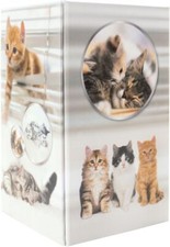 HERMA 19733 Stifteköcher Katzen-Design Karton 8x13.5cm