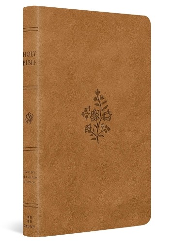 ESV Large Print Value Thinline Bible - 9798874909017