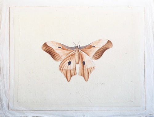 LA ROCHE LAFFITTE - Peinture originale - Aquarelle - Papillon orange - Imagen 2 de 3
