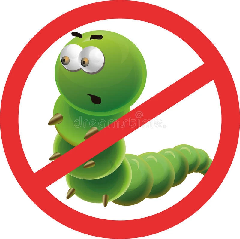 Candida clean - CANDIDA AWAY EXTRA FUERZA - refuerzo del sistema inmunológico - 1B Foto 4 de 4