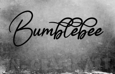 Aufkleber Bumblebee Car Auto Sticker Tuning JDM Decal LKW boot Bike #3