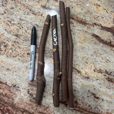 Premium Stella ( Dalmatie ) Non Dormant Fig Cutting