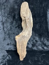 Natural Driftwood for Fish Reptile Aquariums, Crafts, Decor 10" X 8" X 5"