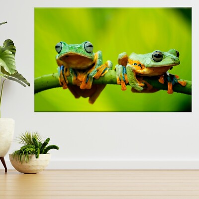 Fliegender Baumfrosch, Javan Tree Frog 3D Ansicht Wandsticker Poster Aufkleber A328