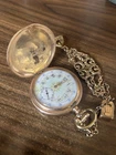 Vintage Antique Elgin Nat’l Watch Co. Hunter Pocket Watch 7459393