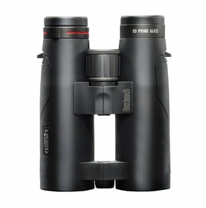 best vortex binoculars