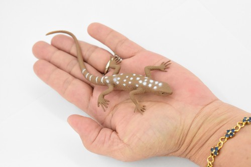 Desert Iguana, Lizard, Toy, Realistic, Figurine, Model   5" F6101 B381 - Picture 2 of 8