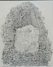 Frederick Marns (1933 - 2013) Very Fine Graphite. Ancient Stone & Foilage