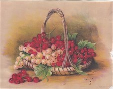 Uvas blancas y rojas en hojas de canasta con marcos ajustados tarjeta MA Vict c1880s