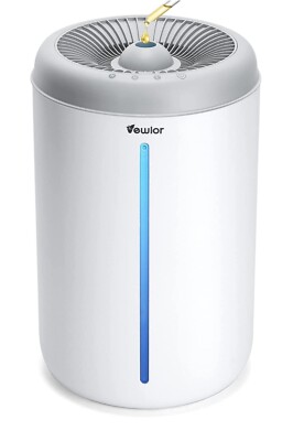 Humidifier and Diffuser 2 in 1 Function