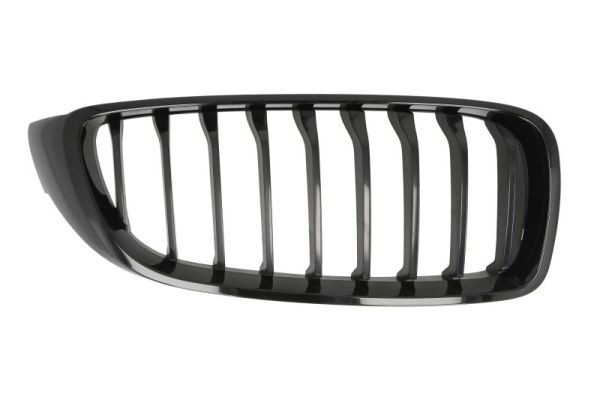 Right Front BLIC 6502-07-00709922P Radiator Grille for BMW