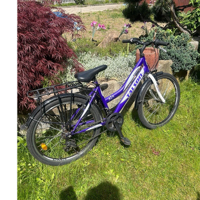 Talson Castor City Bike 24 Zoll Unisex Kinder lila/weiß Gepäckträger