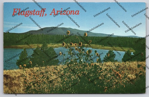 Vintage Postcard Lake Mary near Flagstaff Arizona - unused