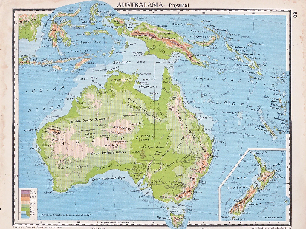 New Zealand Physical Map S L1200.webp