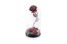 ® Hand Forged Eternal Rose in Beauty and The Beast Glass Dome - Gift for Moth...