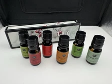 6 Pack Holiday Fragrance Collection Oils, Scents for Candles, Soap Making 10 Mil