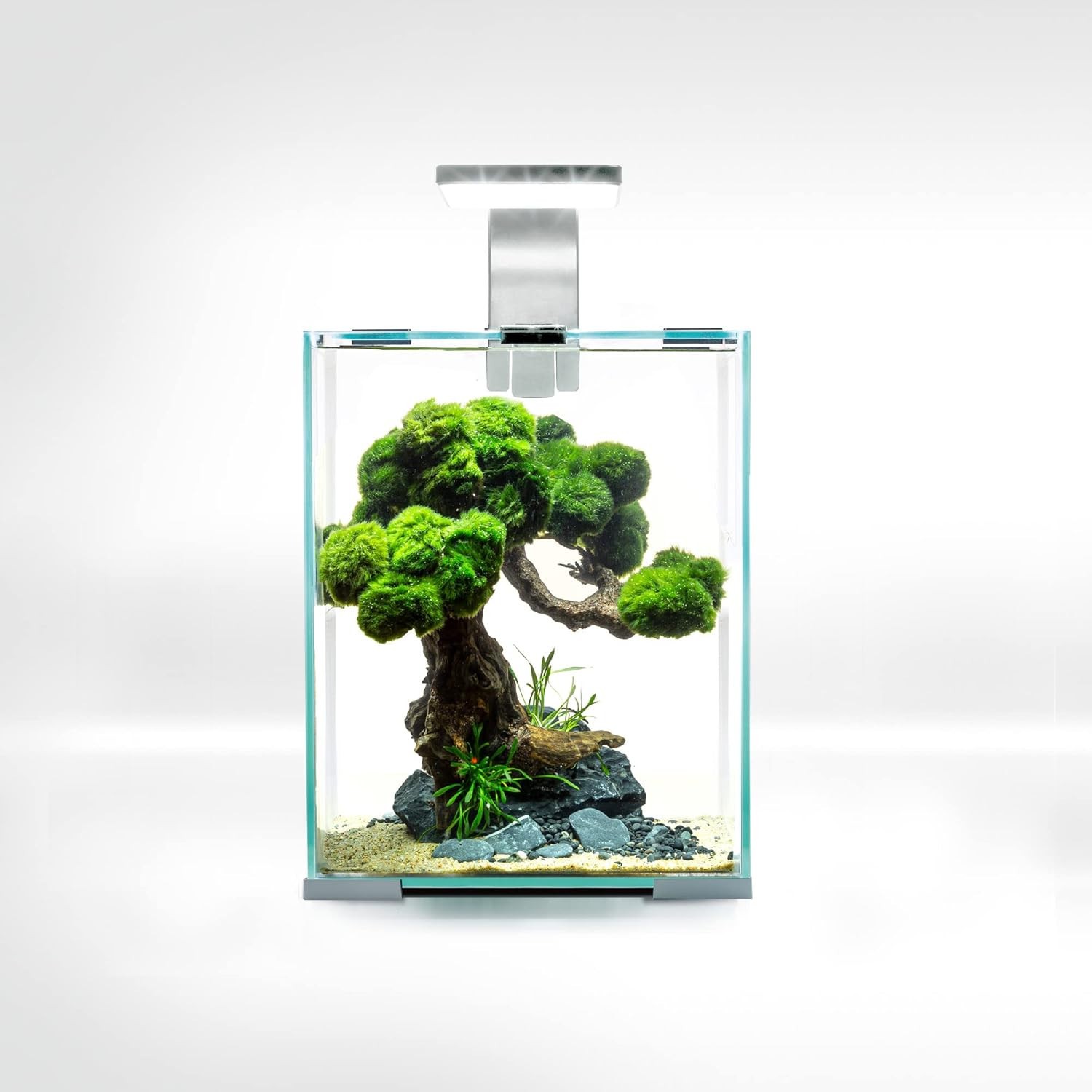 Aquael Set Smart Day & Night 20l | Acquario Completo LED + Filtro + Riscaldatore