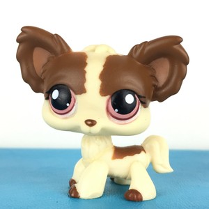lps papillon