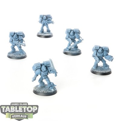 Space Wolves - 5 x Vanguard Veteran Squad - grundiert