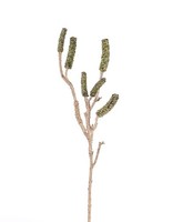 Artplants KüNstlicher Zweig Zylinderputzer Zweig Hemes GrüN, 60Cm