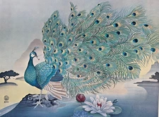 Beautiful Peacock Lithograph Vtg Carol Bouman Print Japanese Art Circa 1975