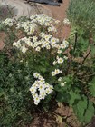 Bild 4 von 10