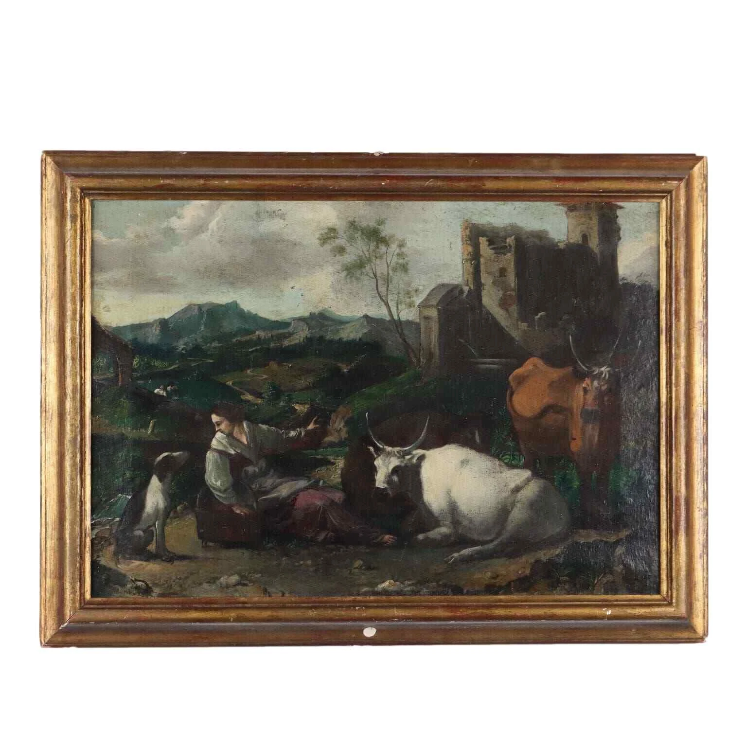 Foto 1 di 12