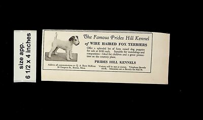 1925 Prides Hill Kennel Wire Haired Fox Terriers Vintage Print ad