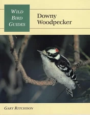 Wild Bird Guide: Downy Woodpecker by Ritchison