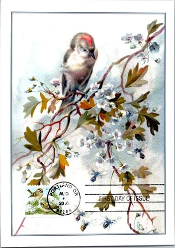 Dr Jim Stamps Maximum Card Two Golden Crowned Kinglet Bird Forever Fdc