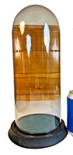 TALL Antique Glass Cloche Bell Jar Dome Wooden Wood Base Display Case 13.5" T