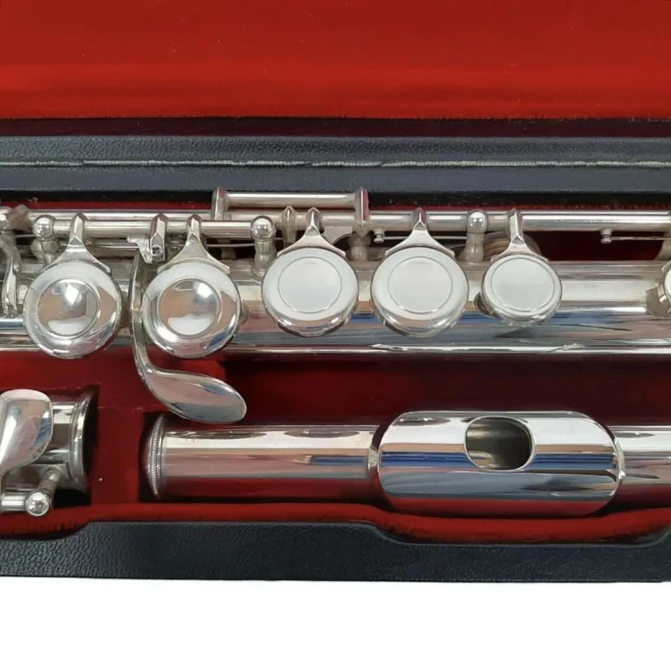 Perla PF-501E Flauta Plateada Mecanismo E Usado con Estuche Rígido Estuche Blando Foto 4 de 4