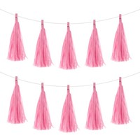 20Stk Rosa Quaste Girlande Banner Mit Seil Seidenpapier Quasten