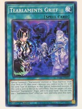 darkwing blast yugioh card list DARKWING BLAST | Card Search Results - View as Gallery