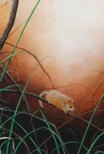 Jeremy Paul (b. 1954) - Original Acrylic Painting - Dormouse.