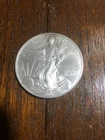 2001 silver eagle